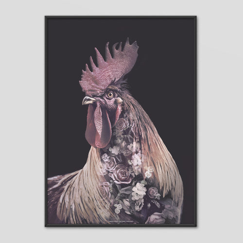 Burgundy Rooster - Faunascapes Flower Portrait