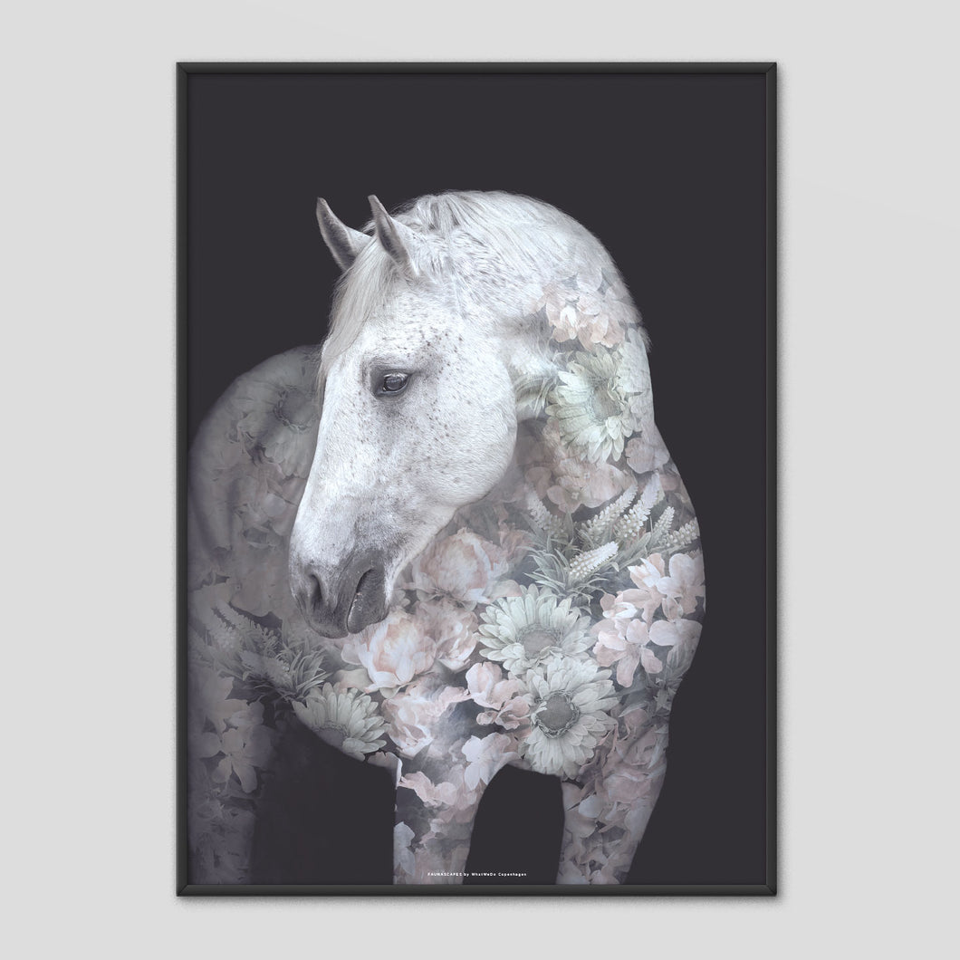 Andalusian Horse - Faunascapes Flower Portrait