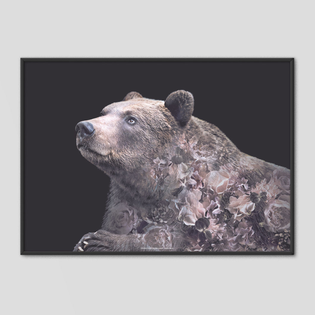 Grizzly Bear - Faunascapes Flower Portrait