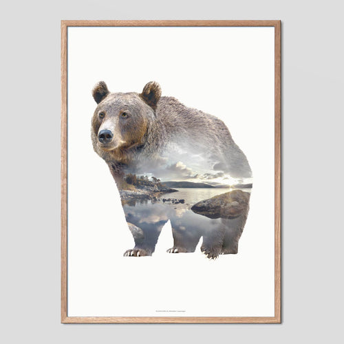 Bear - Faunascapes Double Exposure Poster