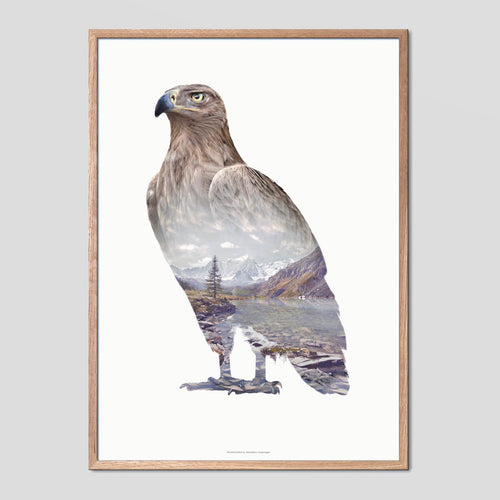 Brown Eagle - Faunascapes Double Exposure Poster