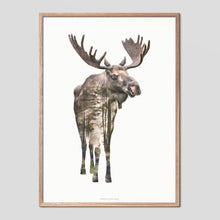 Load image into Gallery viewer, Moose - Faunascapes Double Exposure Poster