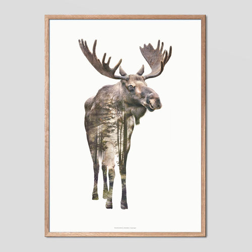 Moose - Faunascapes Double Exposure Poster