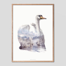 Load image into Gallery viewer, Swan - Faunascapes Double Exposure Poster