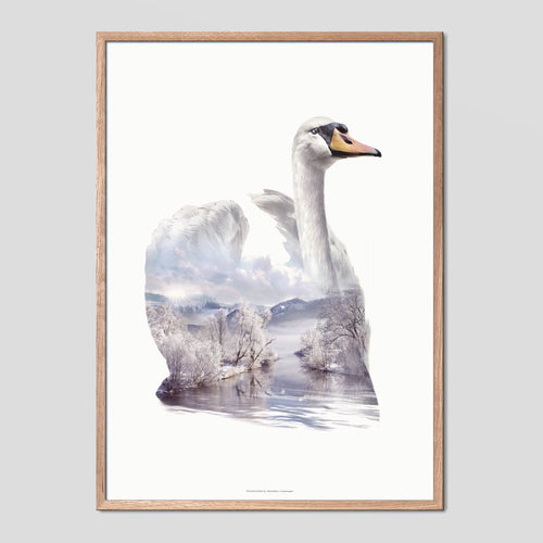 Swan - Faunascapes Double Exposure Poster