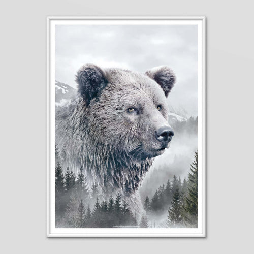 Brown Bear - Faunascapes Nordic Portrait