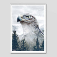 Load image into Gallery viewer, Caucasian Eagle - Faunascapes Nordic Portrait