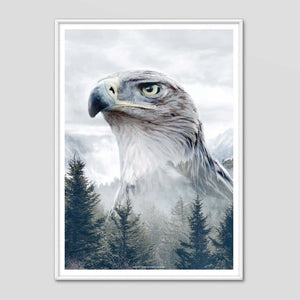 Caucasian Eagle - Faunascapes Nordic Portrait