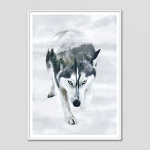 Load image into Gallery viewer, Siberian Husky - Faunascapes Nordic Portrait