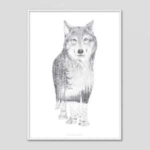 Wolf - Faunascapes Pencil Drawing