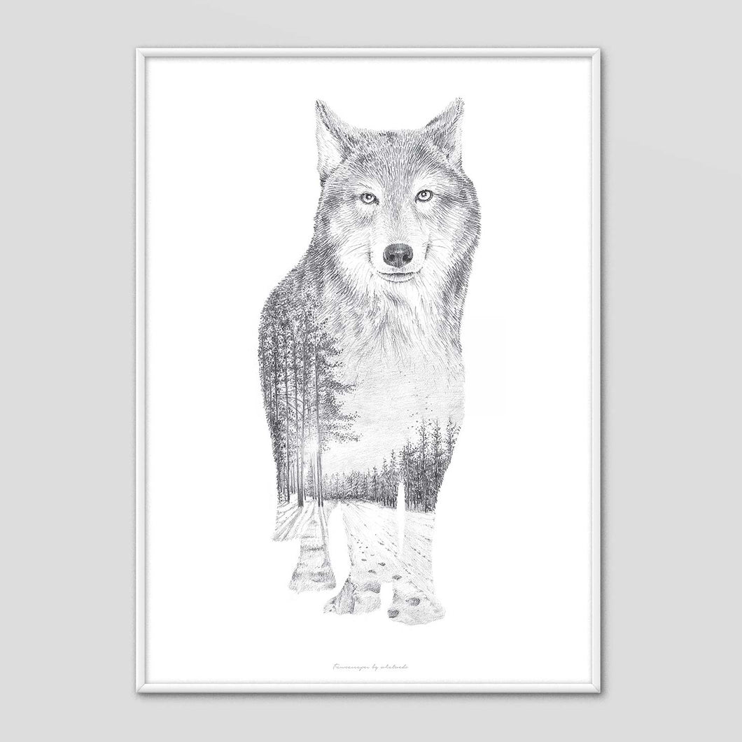 Wolf - Faunascapes Pencil Drawing