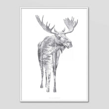 Load image into Gallery viewer, Moose - Faunascapes Pencil Drawing
