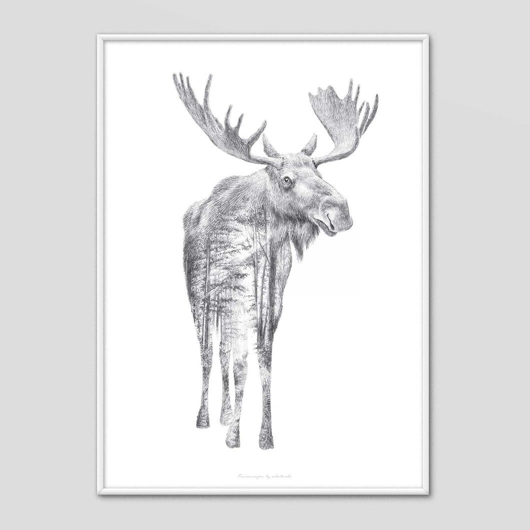Moose - Faunascapes Pencil Drawing