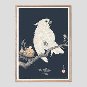 Cockatoo and Pomegranate - Ohara Koson Ukiyo-e Print