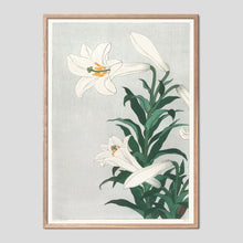 Load image into Gallery viewer, White Lillies - Ohara Koson Ukiyo-e Print