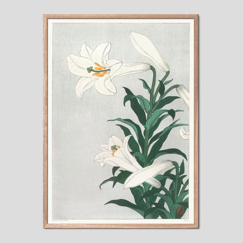 White Lillies - Ohara Koson Ukiyo-e Print