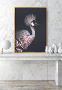 Crowned Crane - Faunascapes Flower Portrait